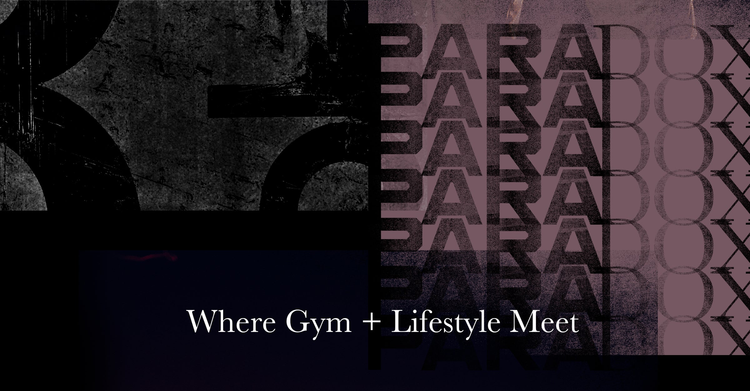 Paradox Collection Long Body T-shirts Summer 2023
