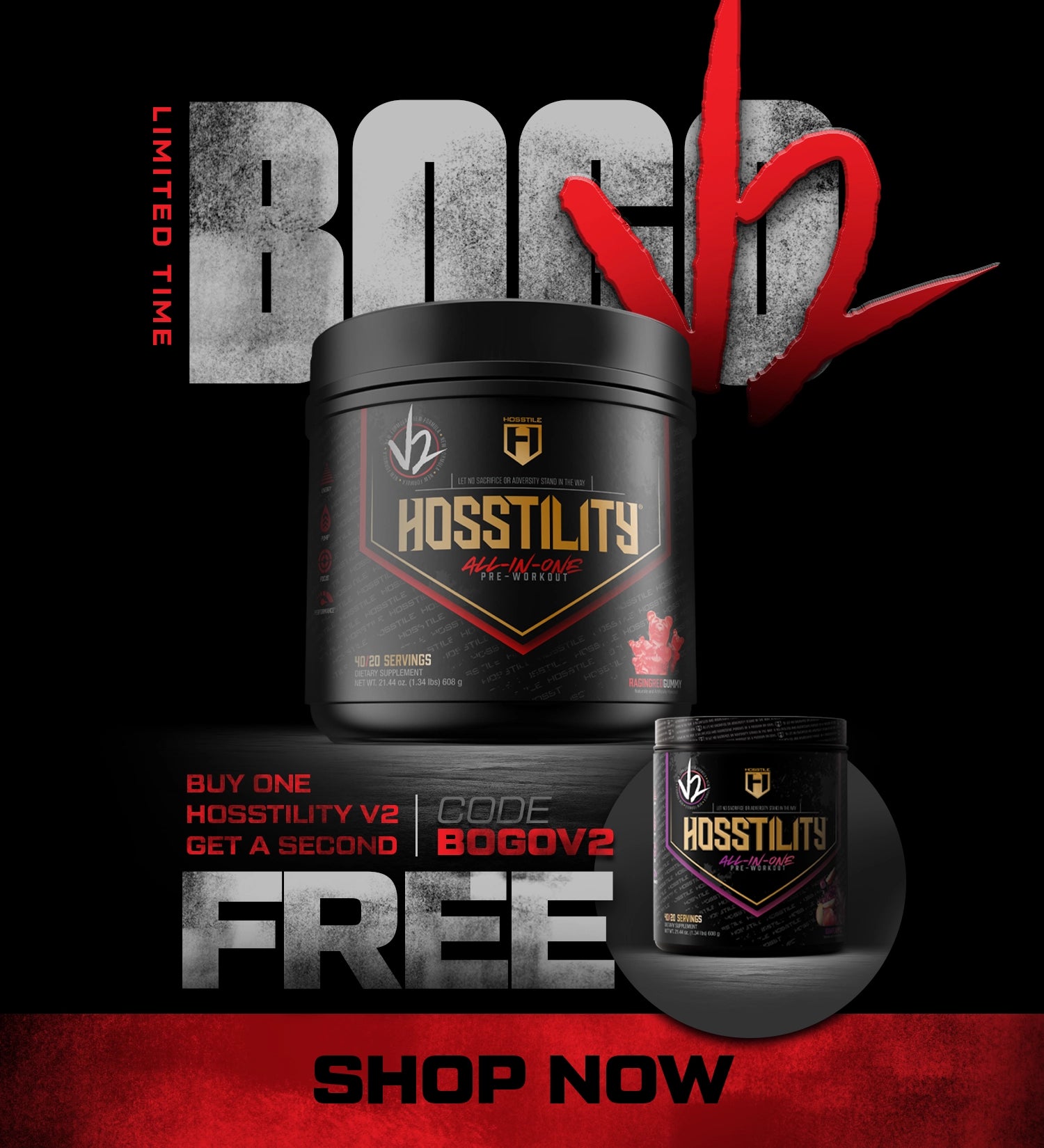 BOGO Hosstility V2