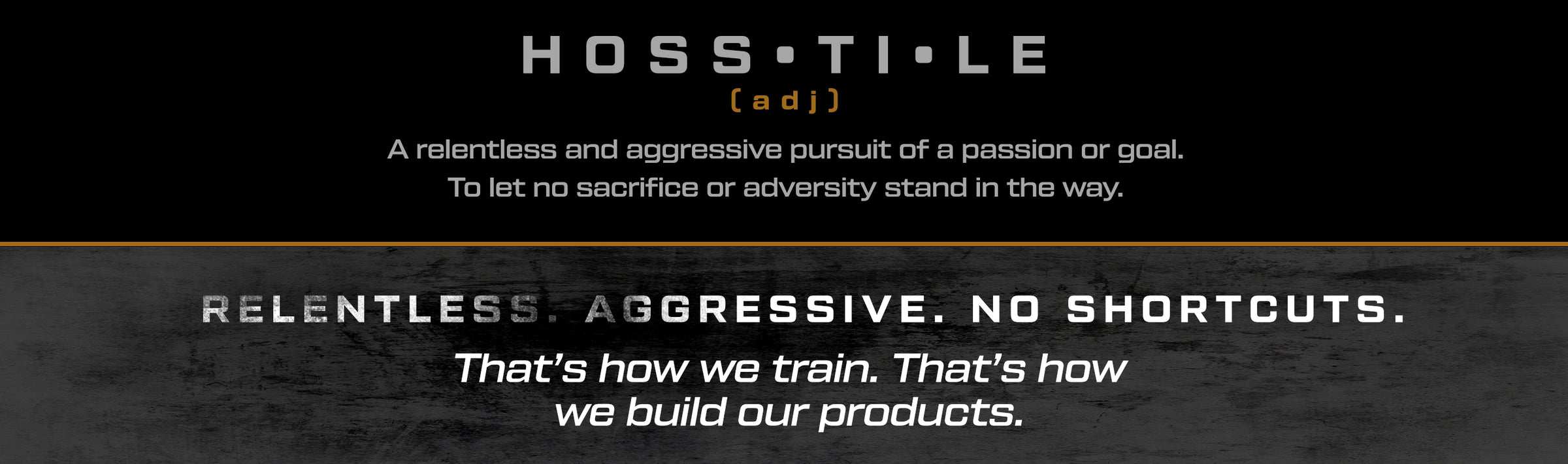 Text on a black background defining 'hosstile' and describing a brand's approach to training and product development.
