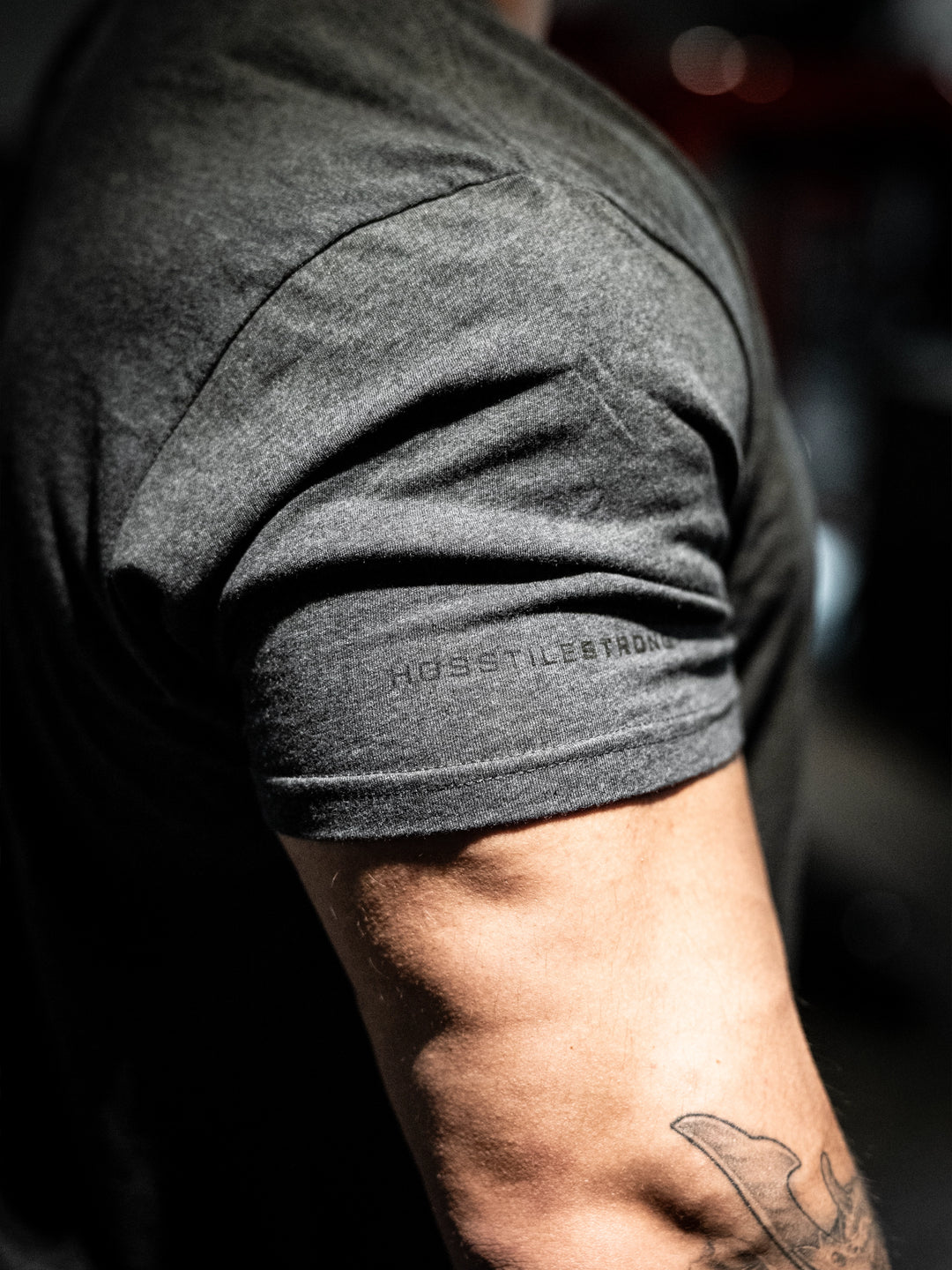 Close-up of a person wearing a gray t-shirt with Hosstile branding on the sleeve#color_charcoal
