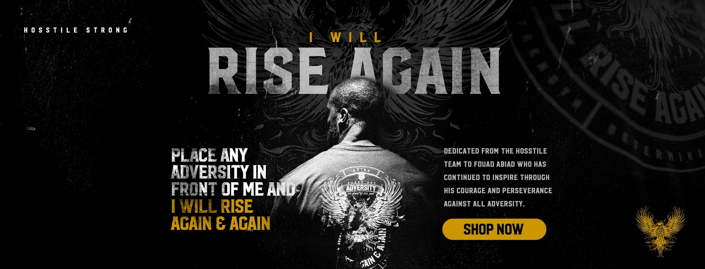 Motivational poster with text 'I Will Rise Again' and a person's back, set against a dark background.