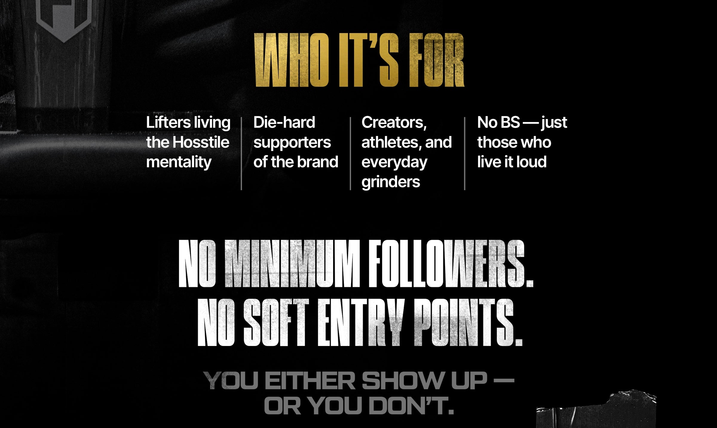 Who the affiliate program is for